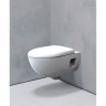 Комплект инсталляция GEBERIT DUOFIX DELTA 500,103.DW.R с подвесным унитазом RENOVA с сиденьем микролифт и клавишей