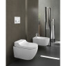 Унитаз-биде подвесной GEBERIT AQUACLEAN TUMA COMFORT 146,294.SI.1 безободковый панель белое стекло